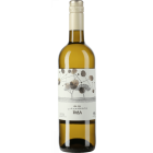 Basa Rueda - 2025-08-05-09-20-30-6216