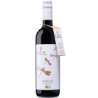 Merlot Senza Solfiti - 2025-02-27-08-59-54-6216