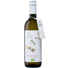 Chardonnay Senza Solfiti - 2025-02-25-17-05-27-6216