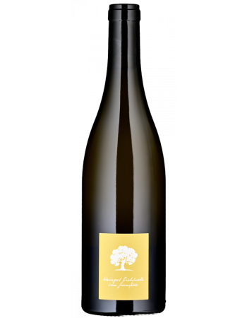 Chardonnay - 2025-02-25-16-30-29-6216