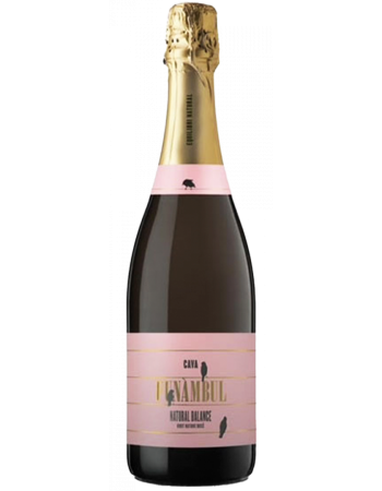 Cava Funambul Brut Nature Rose - 2026-03-30-08-40-15-6216