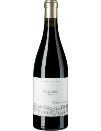 Pegaso Granito - 2025-03-01-08-07-20-6216