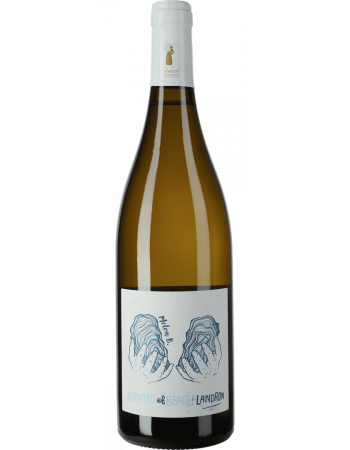 Melon B Muscadet - 2025-03-08-09-39-15-6216