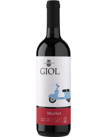 Merlot Anni 50 - 2025-02-25-17-01-54-6216