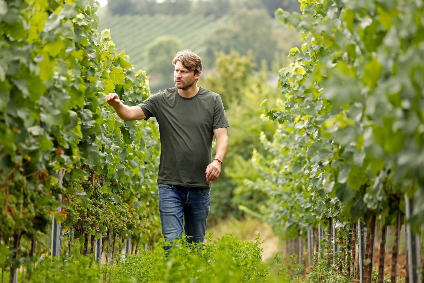 Weingut Pfl&uuml;ger