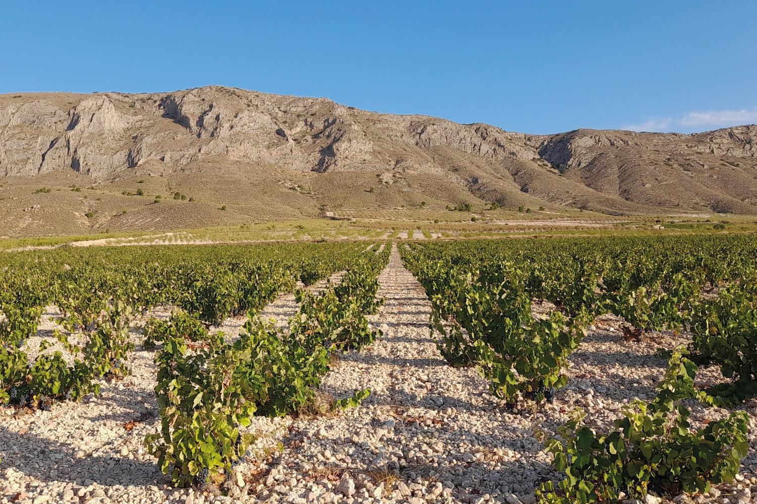 Parajes del Valle Bodega