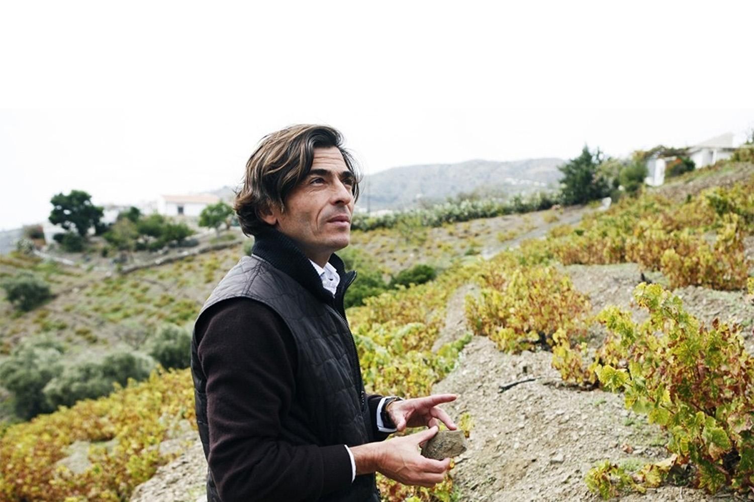 Telmo Rodriguez Bodegas