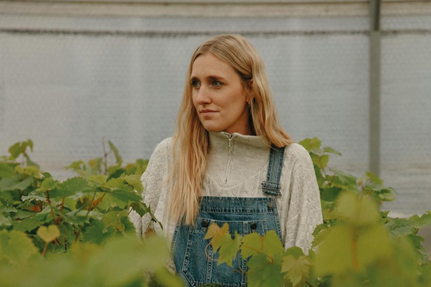 Weingut Katharina Gessl