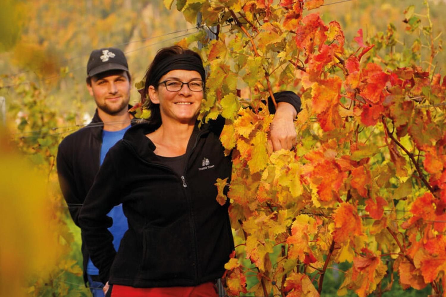 Weingut Eichholz