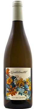 Cantalouette Blanc 2022
